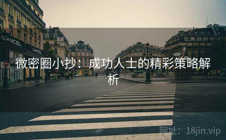 微密圈小抄:成功人士的精彩策略解析