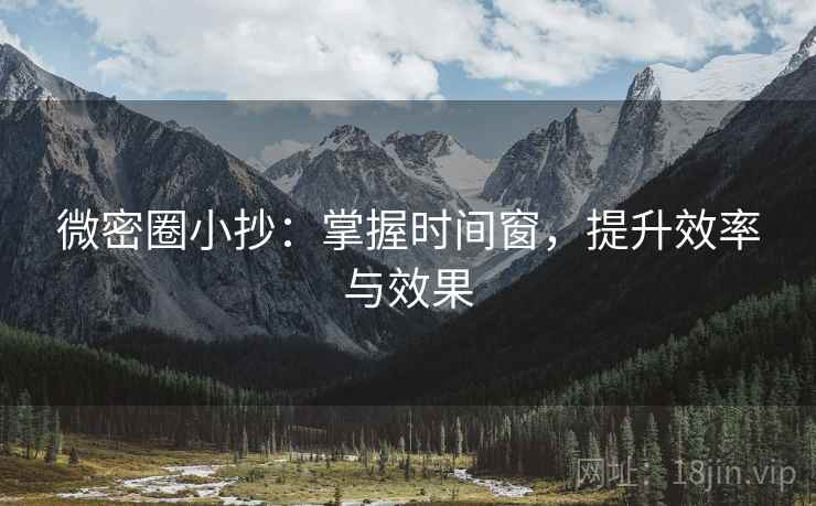 微密圈小抄：掌握时间窗，提升效率与效果
