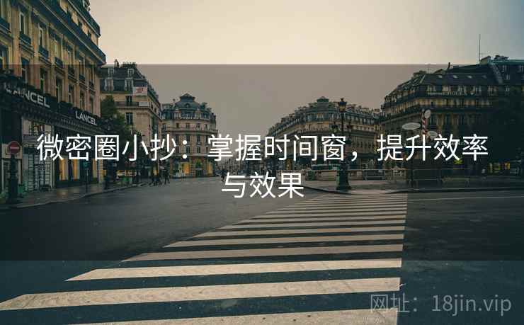 微密圈小抄:掌握时间窗,提升效率与效果